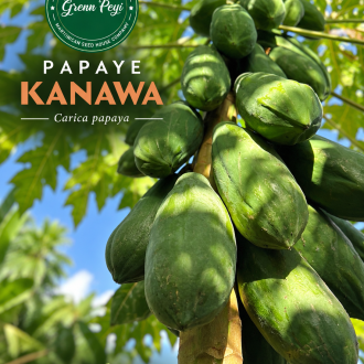 Grenn de Papaye Kanawa